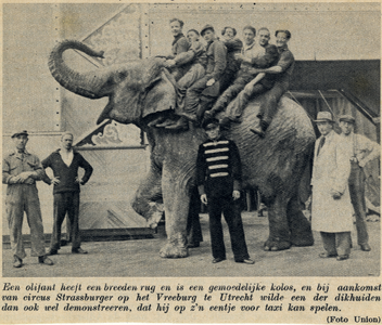 603135 Afbeelding van een olifant van Circus Strassburger op het Vredenburg te Utrecht.